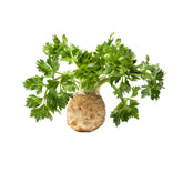 Hectarul - Seminte de telina Dolvi, 10 grame